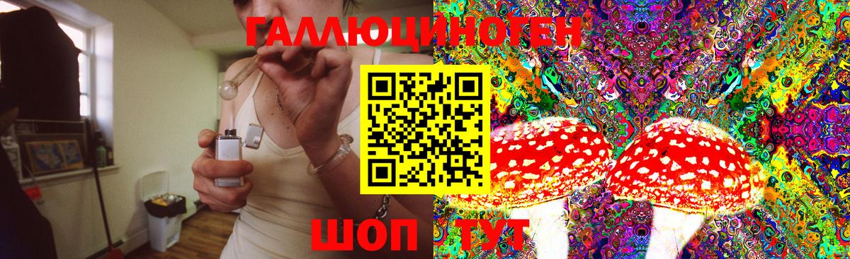 Галлюциногенные грибы мухоморы Хасавюрт